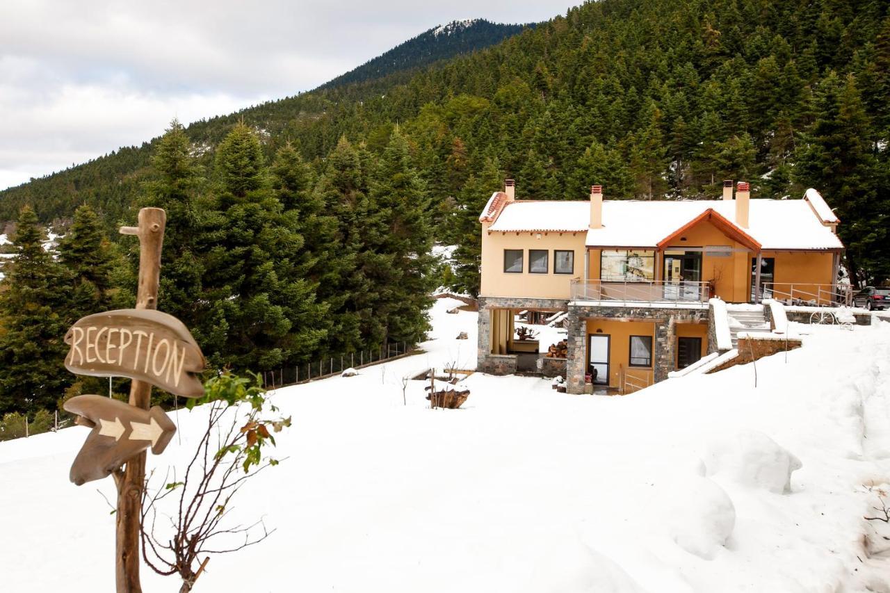 Natura Hotel 비티나 외부 사진